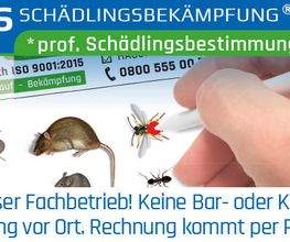 Klavier Zähringer Bild 3