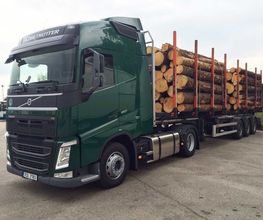 BBH GmbH Holzhandel Bild 3