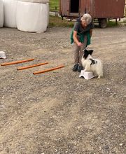 4happypets.ch, Inhaberin Schön Bild 2