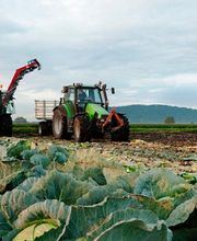 Dreyer AG - Früchte, Gemüse, Tiefkühlprodukte Bild 8