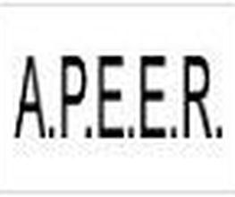 A.P.E.E.R image 9