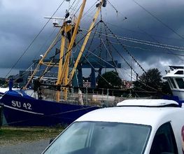 Fischmarkt Husum am Kutterhafen Bild 1