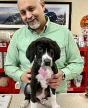 Apple Valley Veterinary Clinic image 8