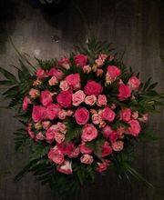 L´Orchidia image 13