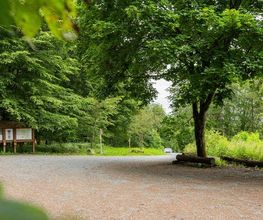 FriedWald Weilrod Bild 11