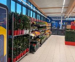 Lidl Bild 6