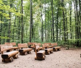 FriedWald Wiesenbach Bild 7