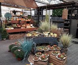 Intratuin Amersfoort afbeelding 4