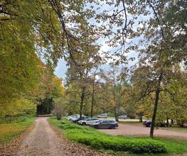 FriedWald Rümmingen Bild 2