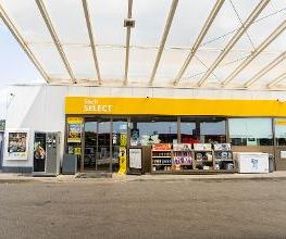 Shell Bild 1