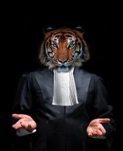 Law Avocats image 1