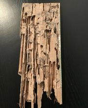 Pro Bat image 20