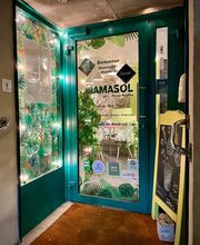 Mamasol image 12