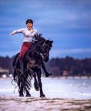 Beshepherd Tierfotografie - Sophie Lombeck Bild 8