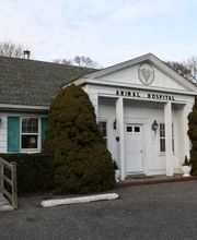 East Hampton Veterinary Group image 3