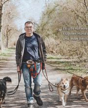 Hundetraining - Der Hundeverhaltenstrainer Bild 2