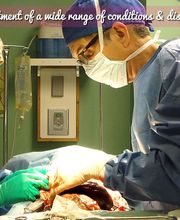 Tellico Plains Clinic image 12
