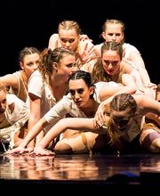 Professional Dance Academy Bild 2