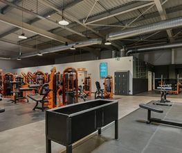 Basic-Fit 24/7 image 4