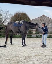 Ponte F SARL image 2