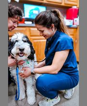 Highlands-Eldorado Veterinary Hospital image 14