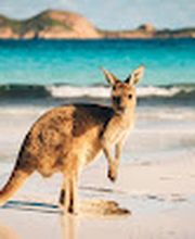 World Travel Service image 13