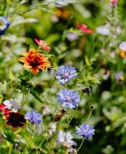 Karin Geisselhardt Psychotherapie GmbH Bild 5