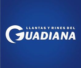 Llantas y Rines del Guadiana Centro Camionero Periférico Torreón imagen 1
