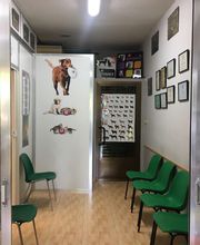 Doctoras Vet Clínica Veterinaria imagen 6