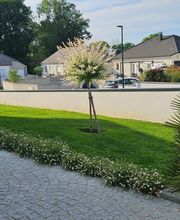 RC Paysage image 1