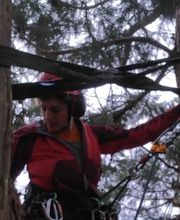 Arborée conseil Thouron image 4