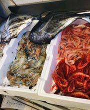 Gallery Professionale