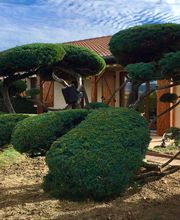 Brian Gibbs image 10