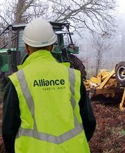 ALLIANCE Forêts Bois image 1