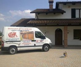 Gallery Cliente