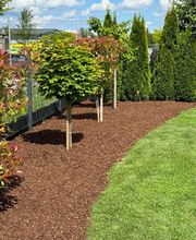 Daily Gartenpflege Bild 6