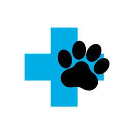 CENTRO VETERINARIO RASKA Y PIKA