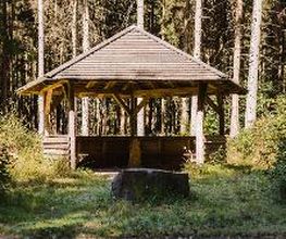 Die Schutzhütte im FriedWald Bramsche kann für Trauerfeiern genutzt werden und bietet Schutz bei unbeständigem Wetter.