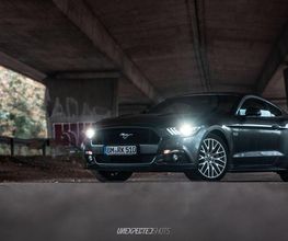Mustang Coupe