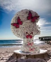 Sea Moss Me Now image 10