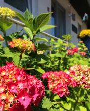 Große Wilde Betten Bild 14
