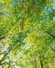 Allegre Sebastien image 2