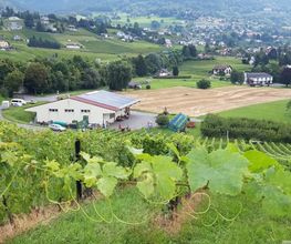 Marché Paysan Bühlmann Bild 7