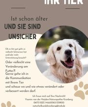 Tierkommunikation-Seelenverständnis Bild 7