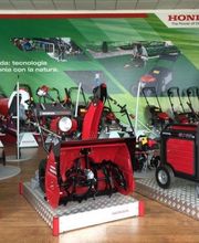 Gallery Cliente