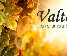 bodegas-ribera-del-duero-burgos.jpg