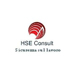 HSE Consult logo