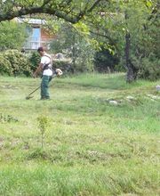 Jardinservice SARL image 13