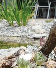 Meier Gartenbau AG Bild 4