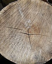 LIGNOCALOR AG Bild 2